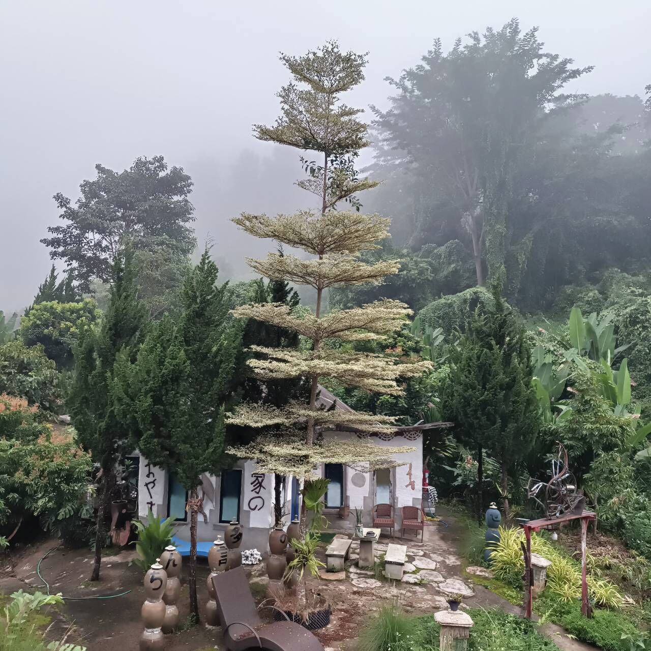 Un edificio tradicional japonés rodeado de abundante vegetación y un árbol grande con varios niveles.