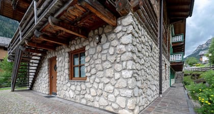 Charming ground floor apartment in the village of Campestrin