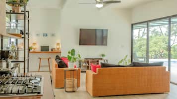 Smart TV, books, video library