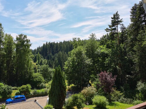 Geräumige Ferienwohnung mit Kamin im Schwarzwald