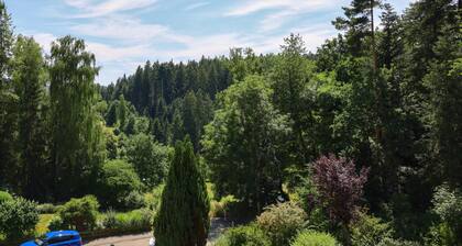 Geräumige Ferienwohnung mit Kamin im Schwarzwald