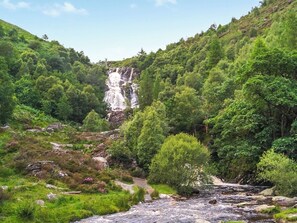 Miscellaneous - The Sheep Pod - UK50074 (Welshpool)