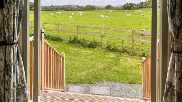 A view from a room with a wooden railing, looking out to a grassy field with sheep. - 1 bedroom accommodation in Southtown, nr Illminster (Southtown, nr Illminster)