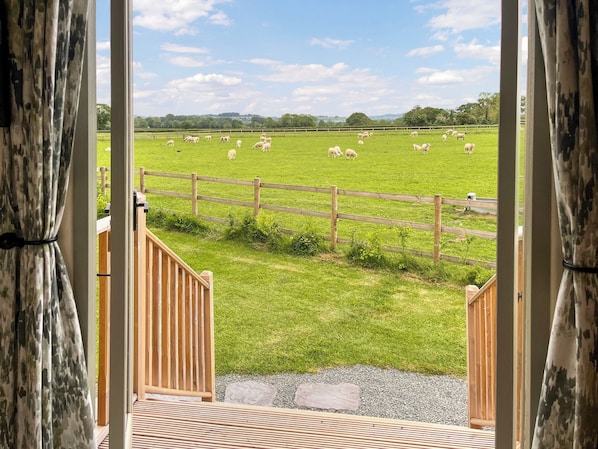 A view from a room with a wooden railing, looking out to a grassy field with sheep.