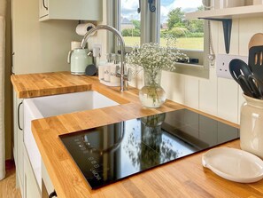 A modern kitchen with a wooden countertop, a black induction cooktop, a stainless steel sink, and a vase with flowers. - 1 bedroom accommodation in Southtown, nr Illminster (Southtown, nr Illminster)