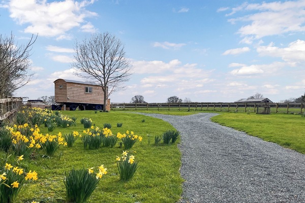 Spring | The Coop, Southtown, nr Illminster