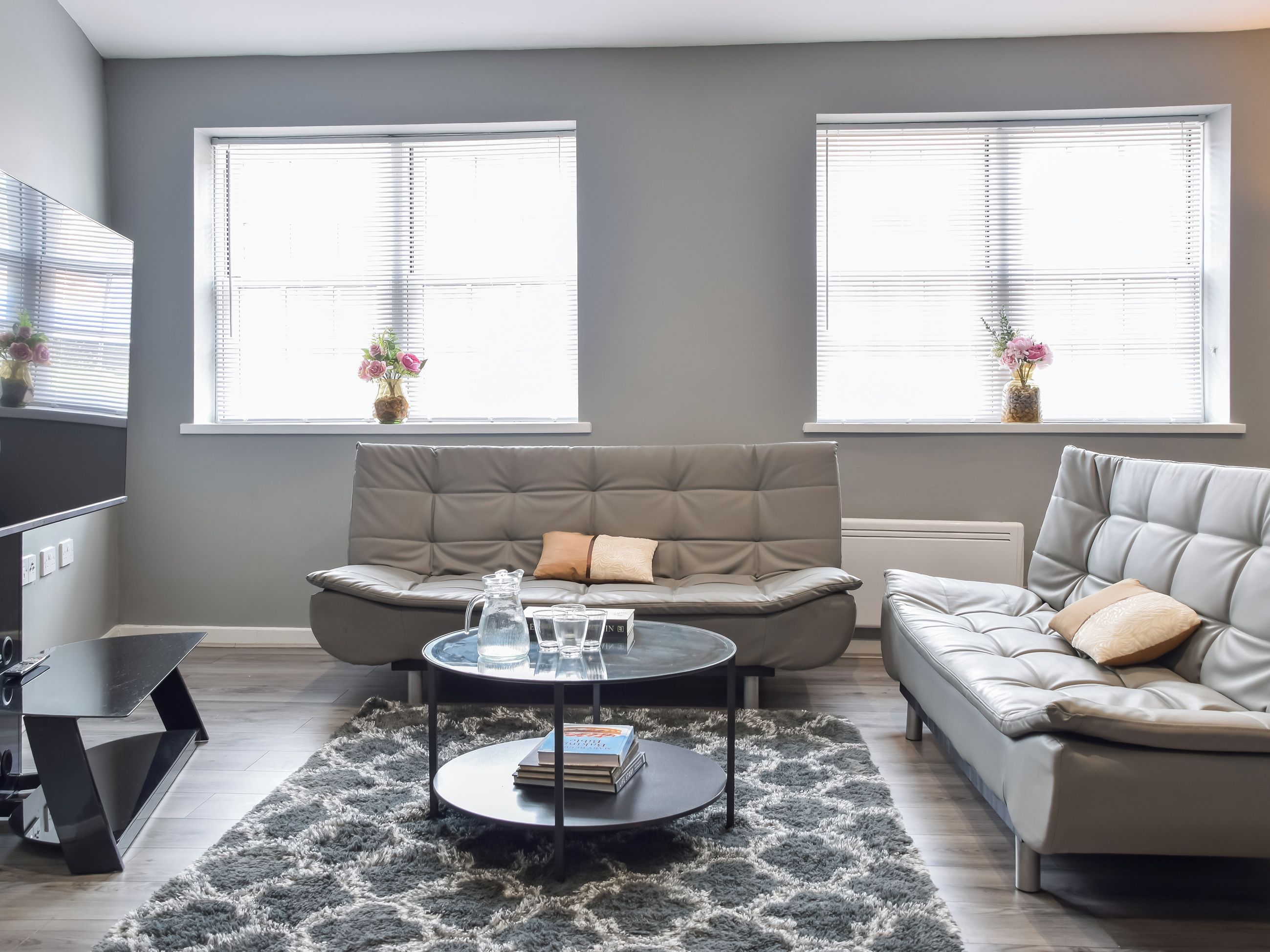 A modern living room with two sofas, a coffee table, and a TV.