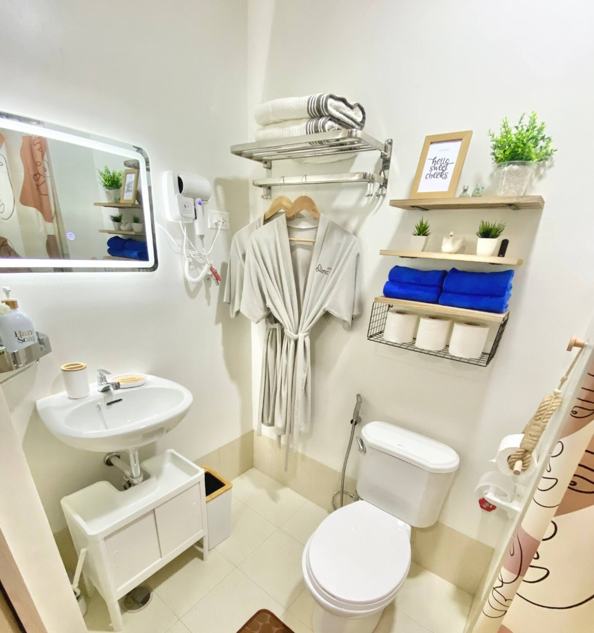 A bathroom with a sink, toilet, robe rack, and a hairdryer.