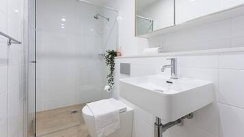 Hair dryer, towels, soap, shampoo