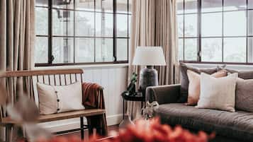 Télévision, cheminée, chaßne hi-fi