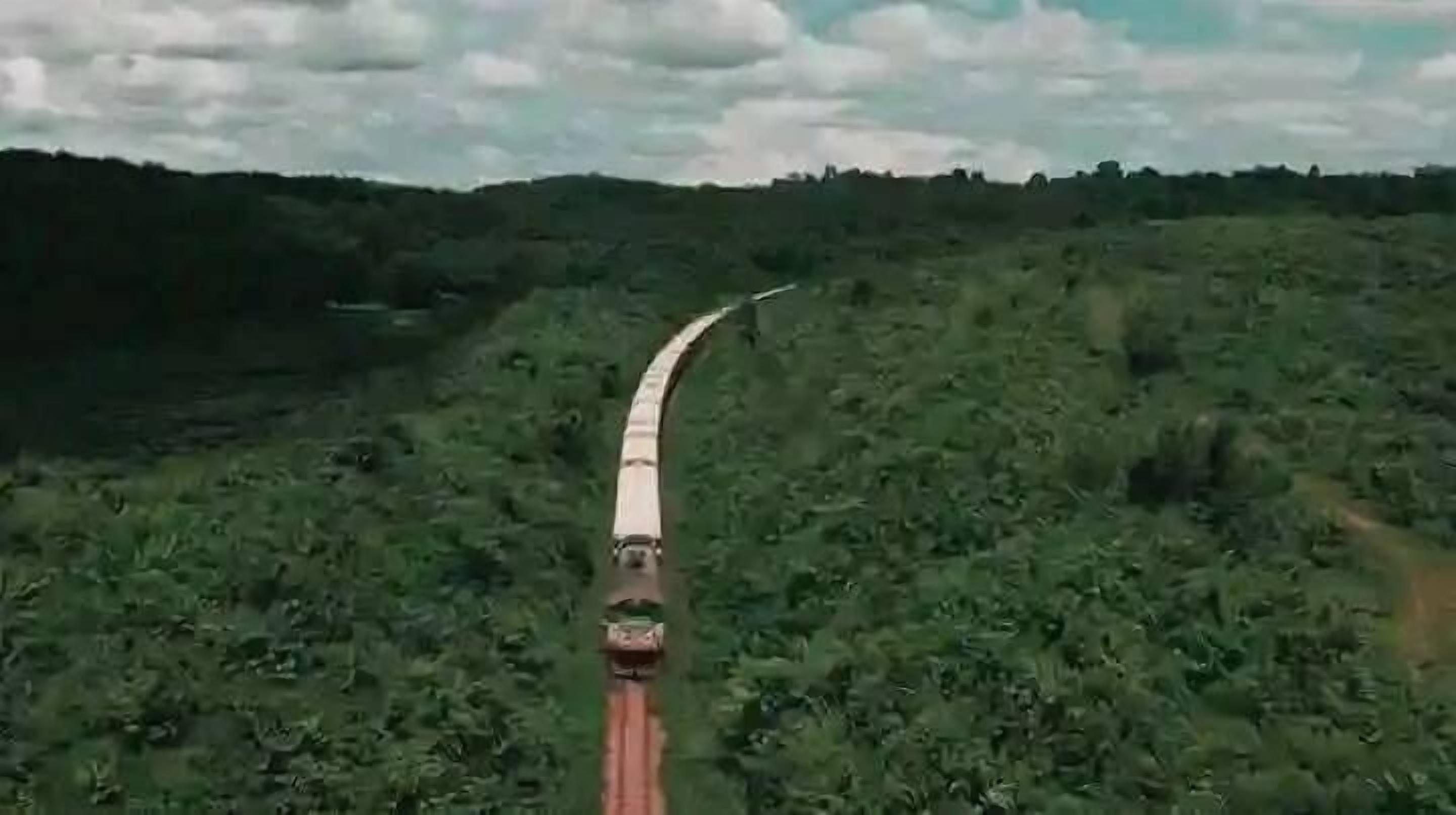 A train traveling through a lush green landscape.
