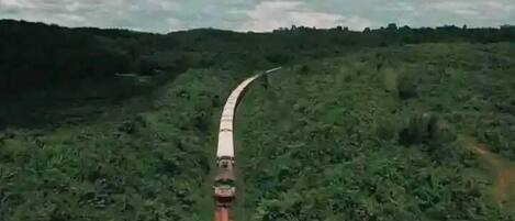 A train traveling through a lush green landscape.