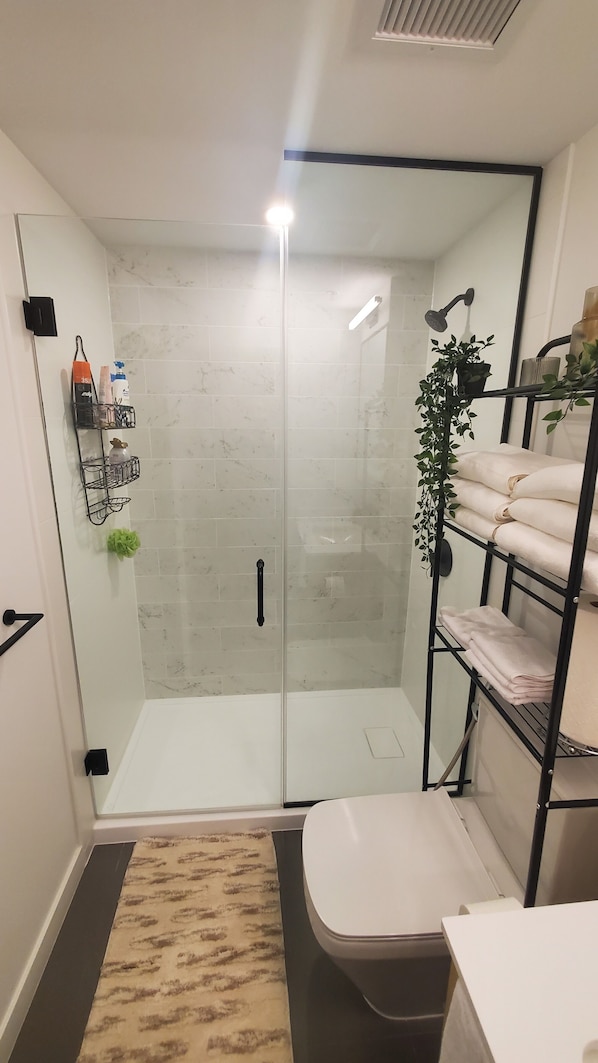 Dusche, Haartrockner, Bidet, Handtücher