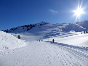 Skidåkning och snöaktiviteter