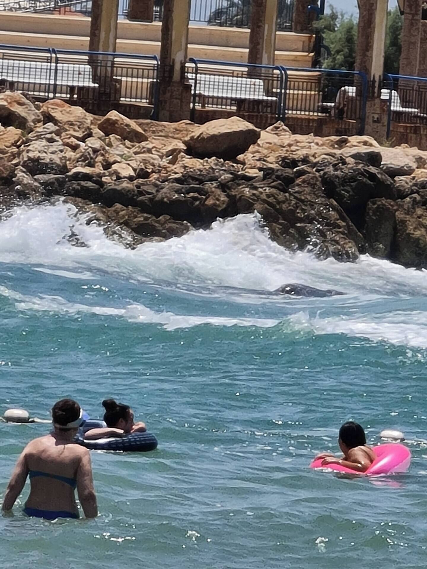 Una platja amb penya-segats i on es poden veure onades.