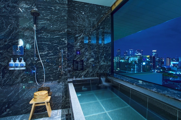 View from room - ESPACIO NAGOYA CASTLE (Nagoya)