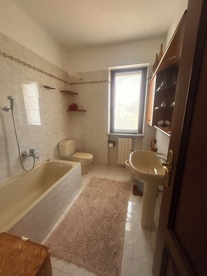 Ducha, secador de pelo, bidé y toallas