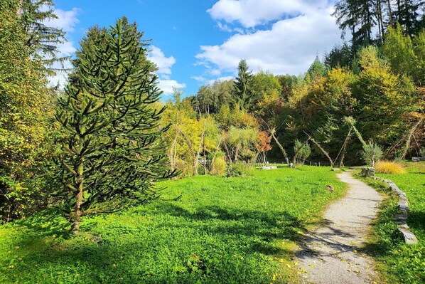 Overnatningsstedets område
