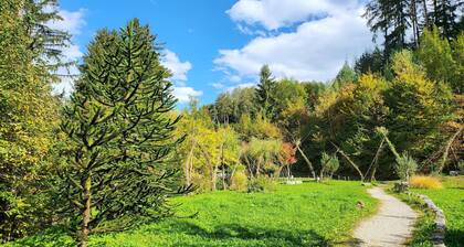 Premium Apartment in Schwaz