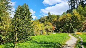 Un sendero serpentea por un parque, con árboles y césped.