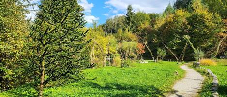Terrain de lâhĂ©bergement