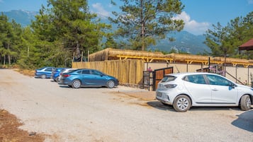 Avgiftsfri parkering