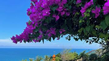 A road with a sidewalk, a guardrail, and bougainvillea flowers.