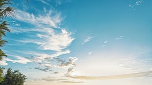 Μια παραλία με καθαρό ουρανό, φοίνικες και λίγα άτομα που περπατούν.