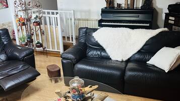 Télévision, cheminée, lecteur de DVD, livres