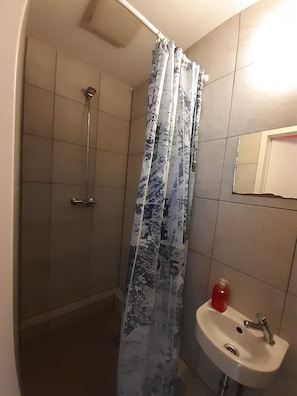 Une salle de bain avec une douche, un lavabo et un miroir.