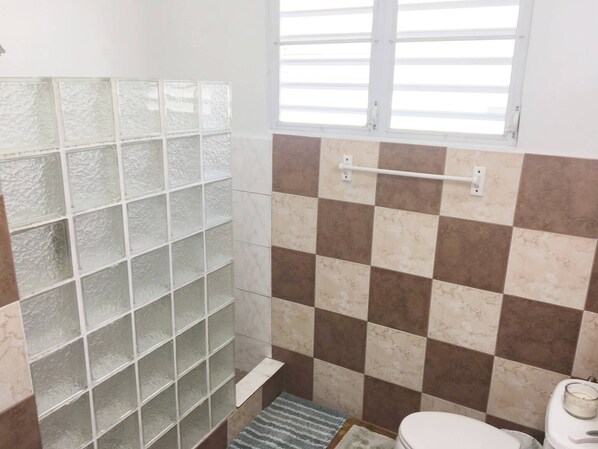 Shower, hair dryer, towels