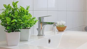 Douche, sĂšche-cheveux, bidet, serviettes fournies