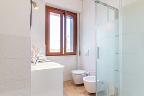 Shower, hair dryer, bidet, towels