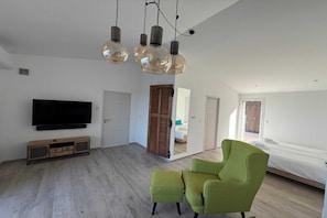 A modern living room with a flat-screen TV, a wooden cabinet, a green armchair, and a ceiling light fixture.