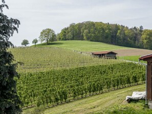 Viñedo con hileras de vides, un edificio de madera y un paisaje montañoso con árboles.