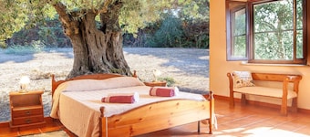 Farmhouse nestled in a cork oak forest with boungalows. Pets allowed