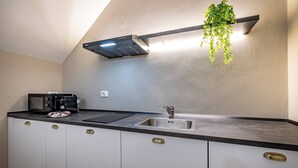 Eine moderne Küche mit eingebauter Mikrowelle, Spüle und einer hängenden Pflanze.