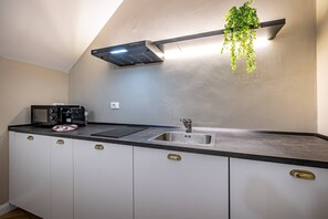 Fridge, microwave, stovetop, coffee/tea maker