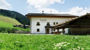 En vit byggnad med texten ”Leitnerhof Apartments” på fasaden, omgiven av en grön äng och ett berg i bakgrunden.