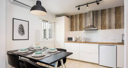 Quiet and cozy apartment in the center of Jerez