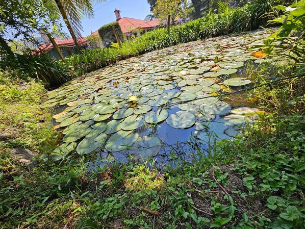 Parco della struttura