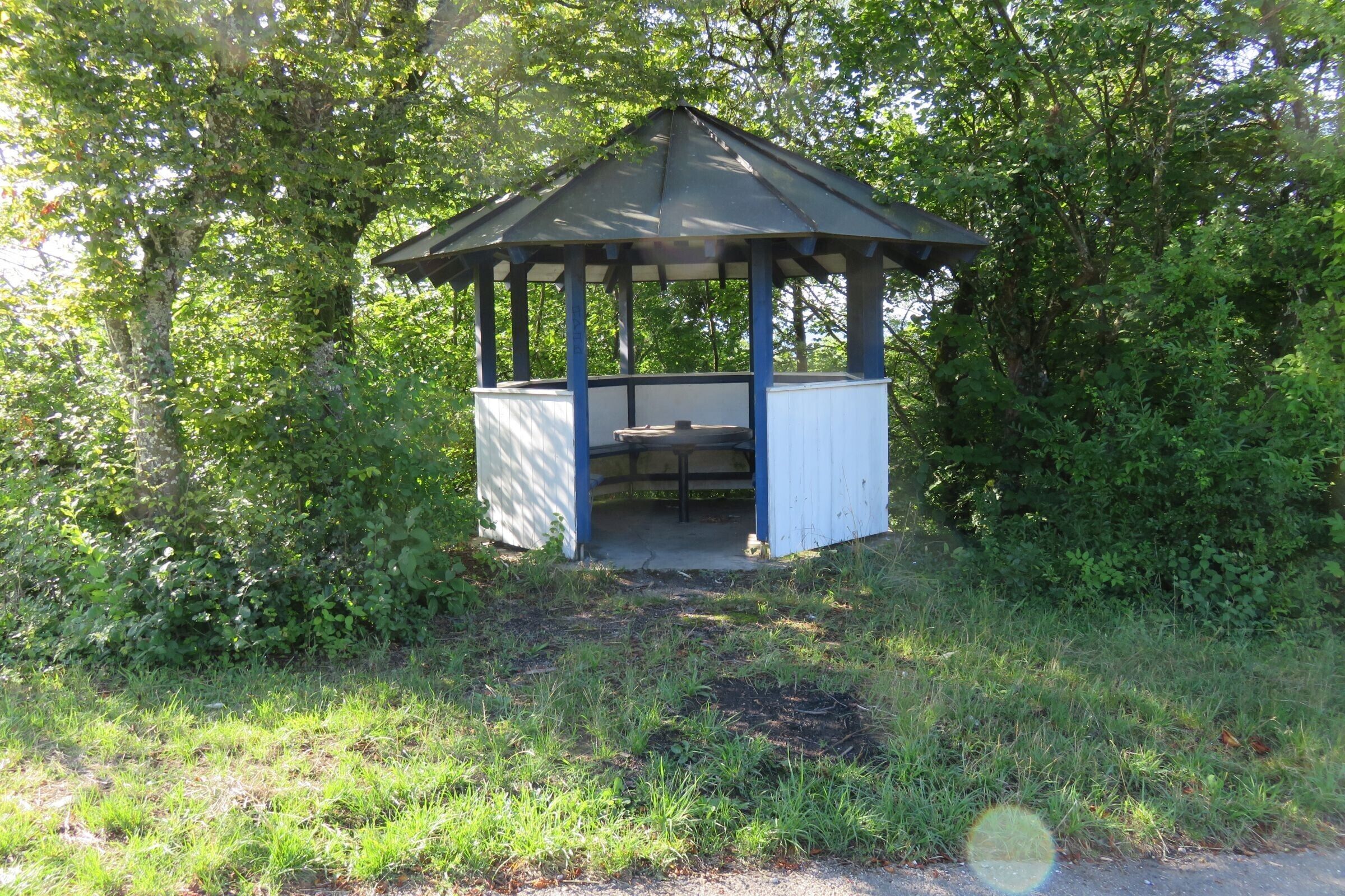 Een prieel met een sober, open ontwerp, omringd door weelderige begroeiing.