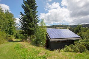 A building with a solar panel roof surrounded by trees and a clear sky.