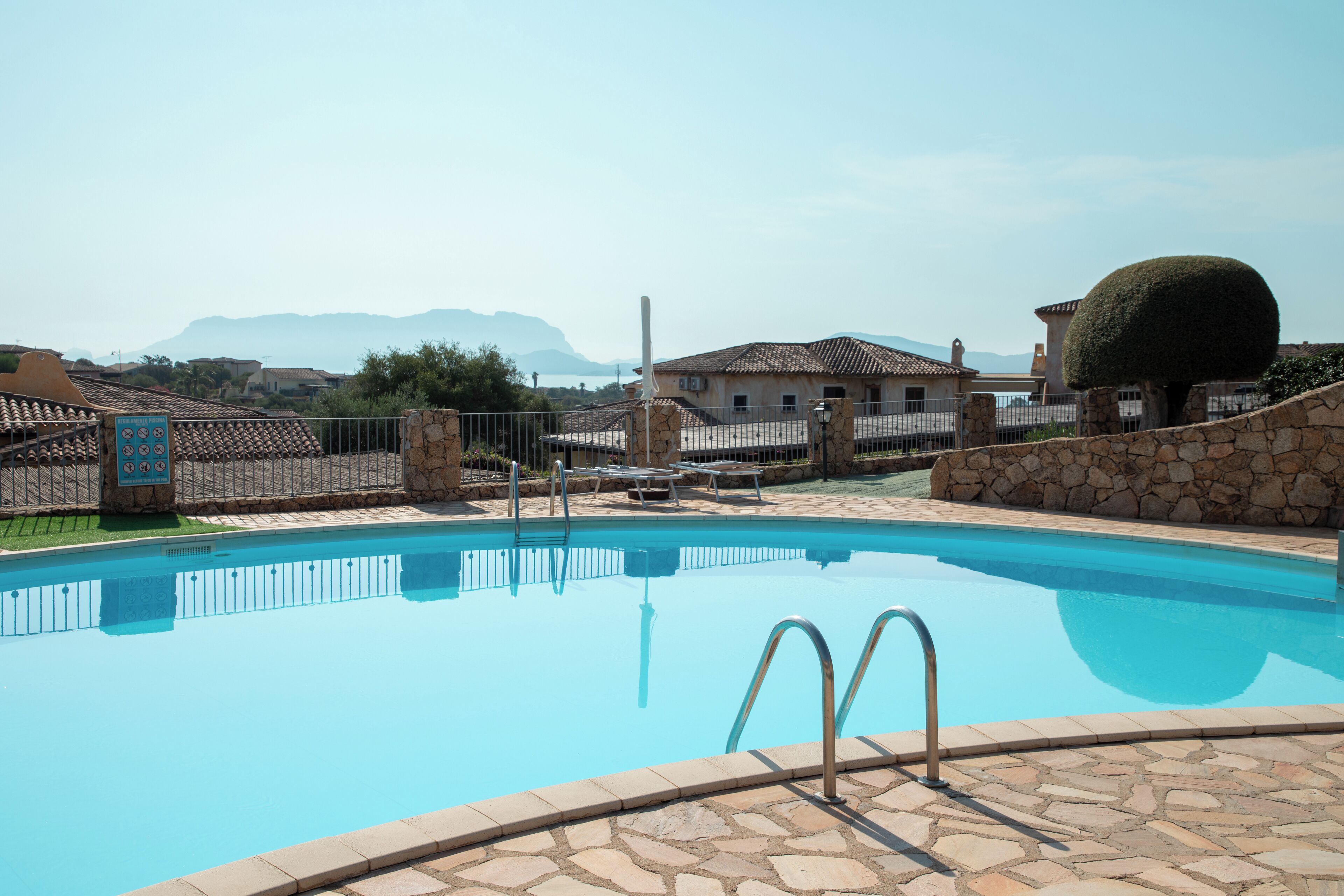 Ein Swimmingpool mit Steinbord, einer Metallleiter und einer Steinmauer mit Baum.