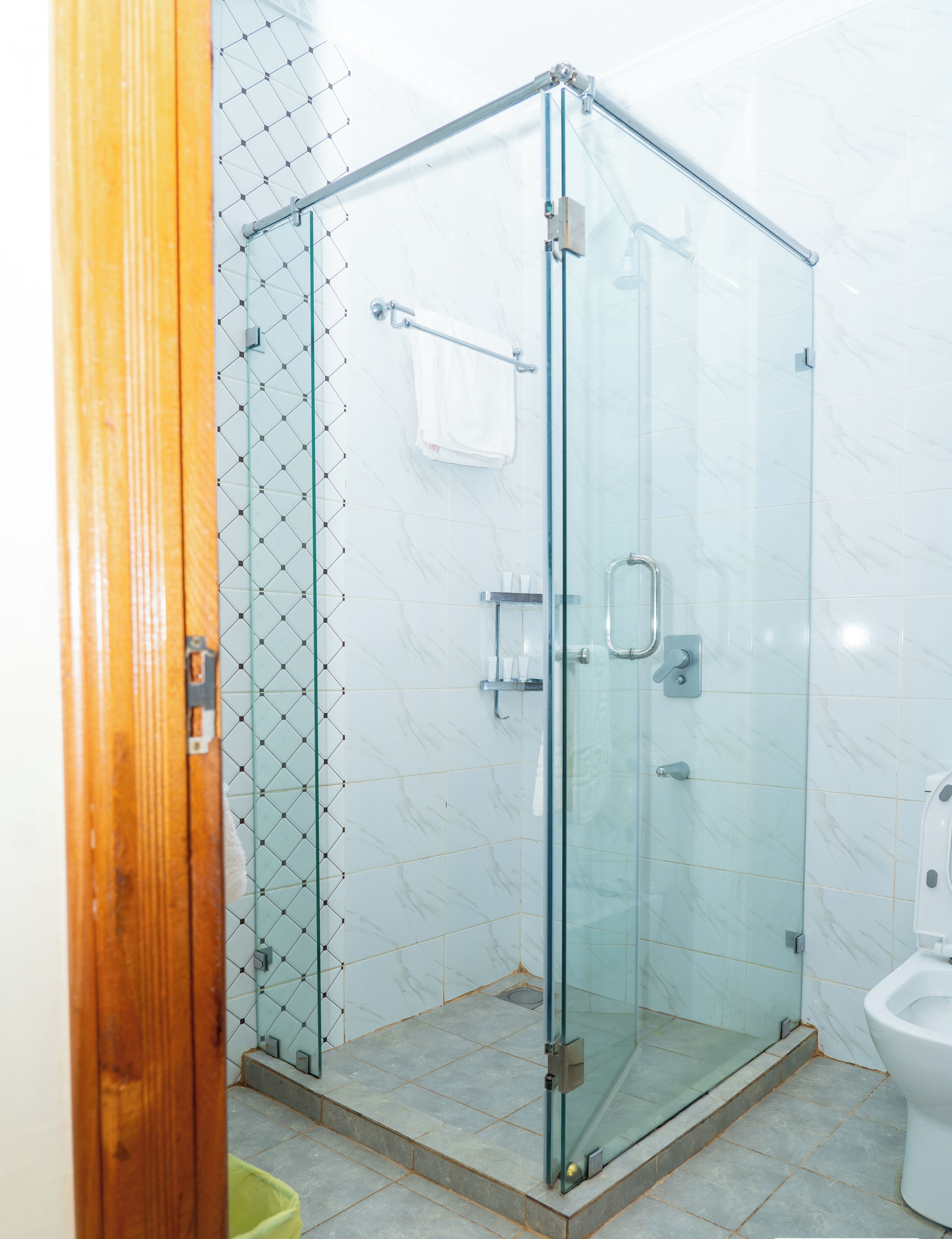 Une cabine de douche en verre avec une porte en bois, un sol carrelé et des toilettes blanches visibles sur la droite.