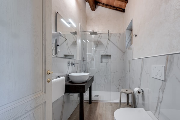 Shower, hair dryer, towels
