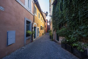 Una estrecha calle adoquinada bordeada por edificios con puertas y ventanas de arco, algunas con contraventanas, y un edificio cubierto de hiedra.