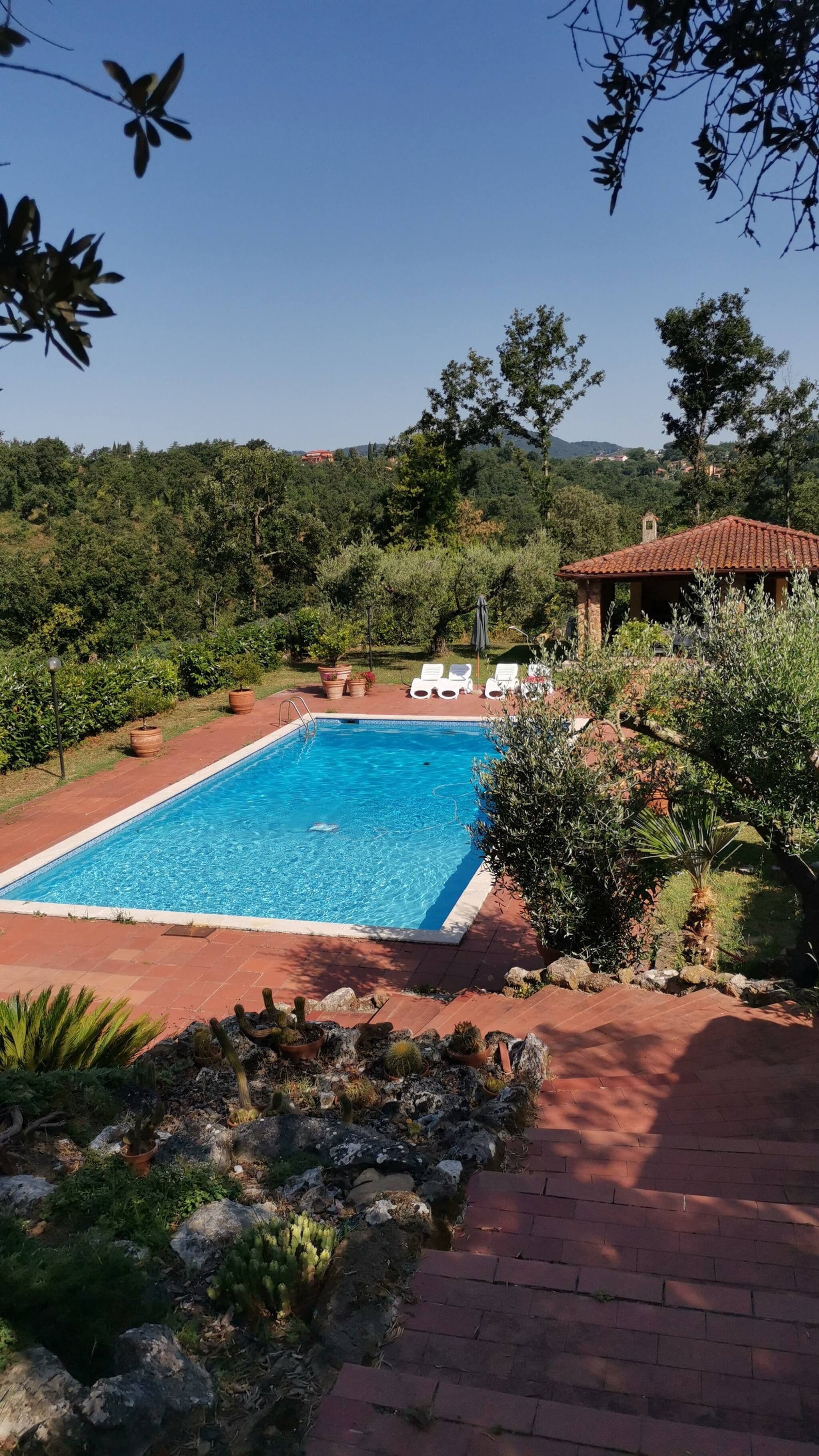 Une piscine rectangulaire à l’eau d’un bleu limpide, entourée d’une terrasse en briques, et offrant une vue sur un paysage vallonné avec des arbres et un bâtiment en arrière-plan.