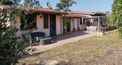 Rome Within Reach Relaxation, Nature, and a Private Pool!