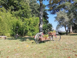 House, 4 Bedrooms, Private Pool, Garden View | Property grounds